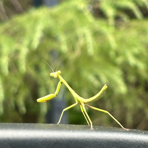 About me Photos🥳🥳❌❌ - Picture 7 of 14